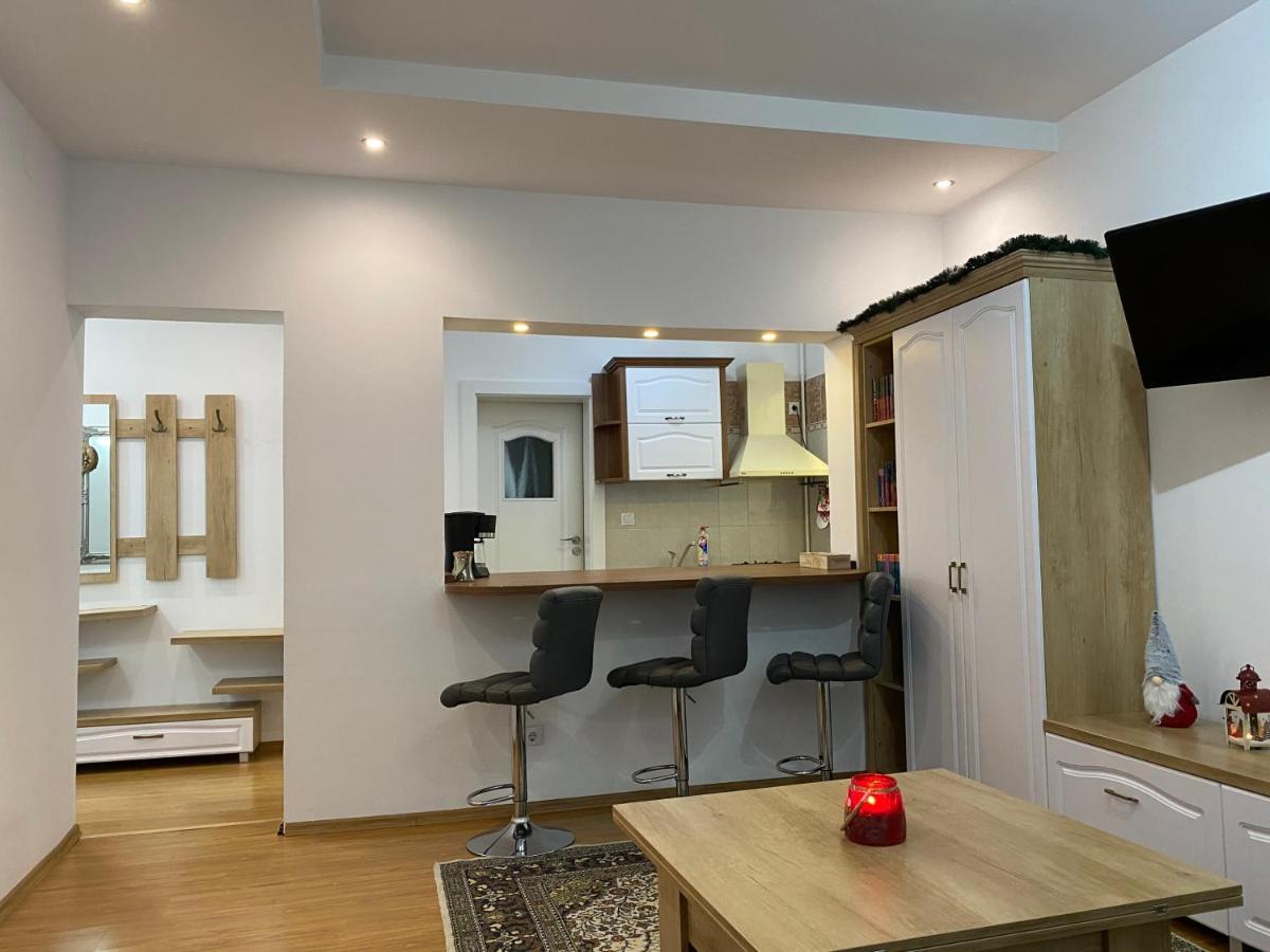 Tampa Hill Residence Брашов Экстерьер фото