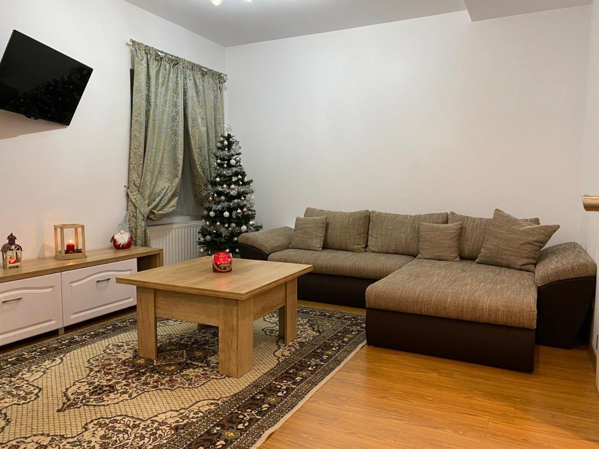 Tampa Hill Residence Брашов Экстерьер фото