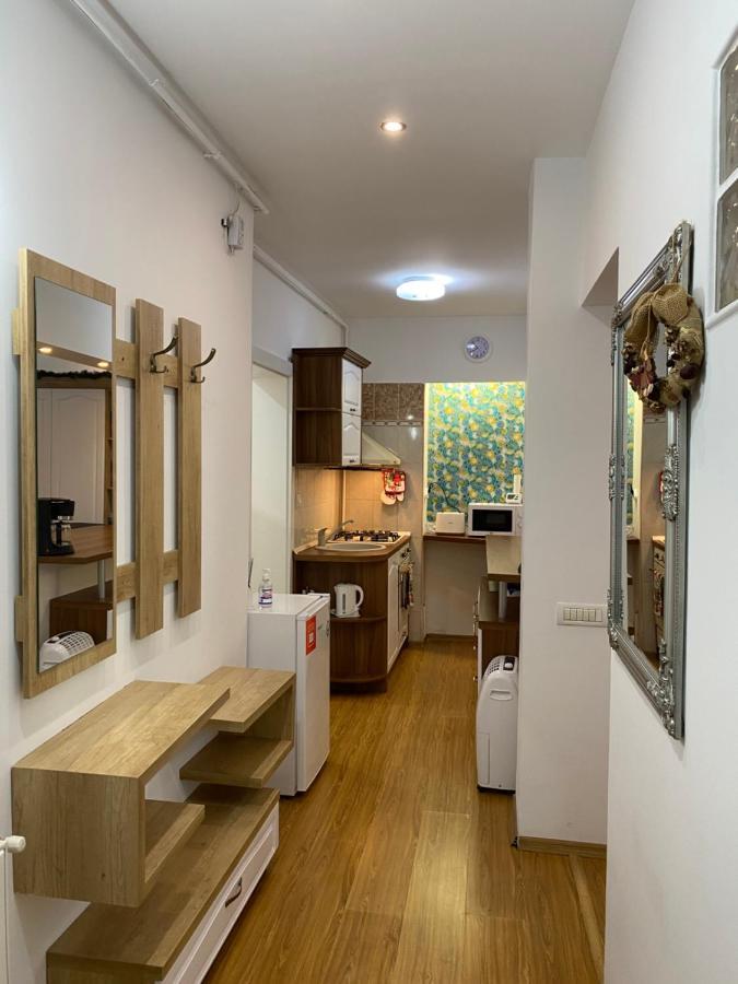 Tampa Hill Residence Брашов Экстерьер фото