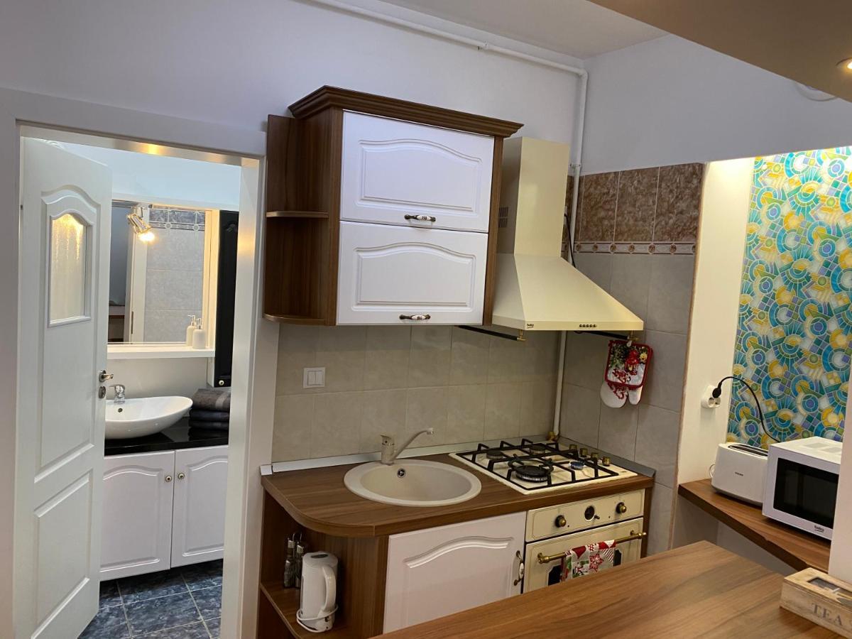 Tampa Hill Residence Брашов Экстерьер фото